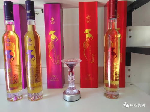中貿文化 芬蘭設計 中華孔雀苑國際旅游產品綻放絲綢之路旅游產品展覽會